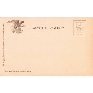 Lesters Park Rustic Bridge Duluth Minnesota Vtg Postcard Divided Back image 2