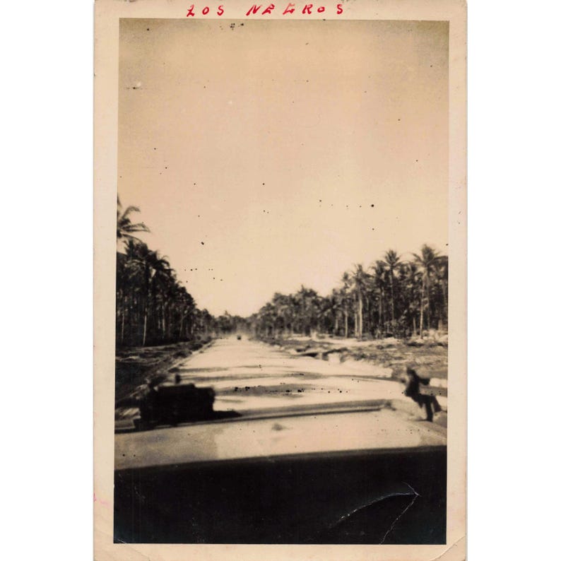 1940s Vintage Photograph Los Negros Palm Tree Lined Canal Scenic Old Photo image 1