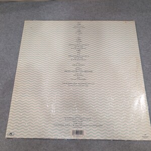 Waterfront Cry 12 Inch Vinyl Single Polydor 889 251-1 1989 Pop 33 RPM Extended image 2