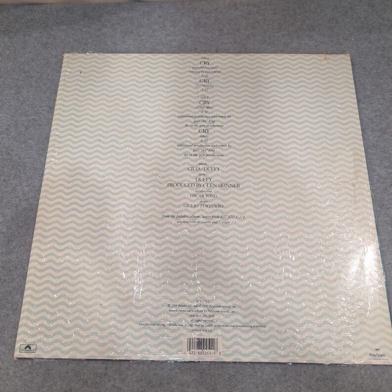 Waterfront Cry 12 Inch Vinyl Single Polydor 889 251-1 1989 Pop 33 RPM Extended image 2