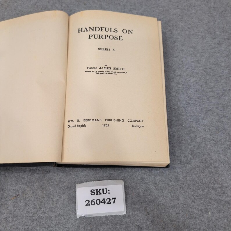 Handvoll der Zweck Serie X James Smith Eerdmans Hardcover Religiöses Buch Bild 3