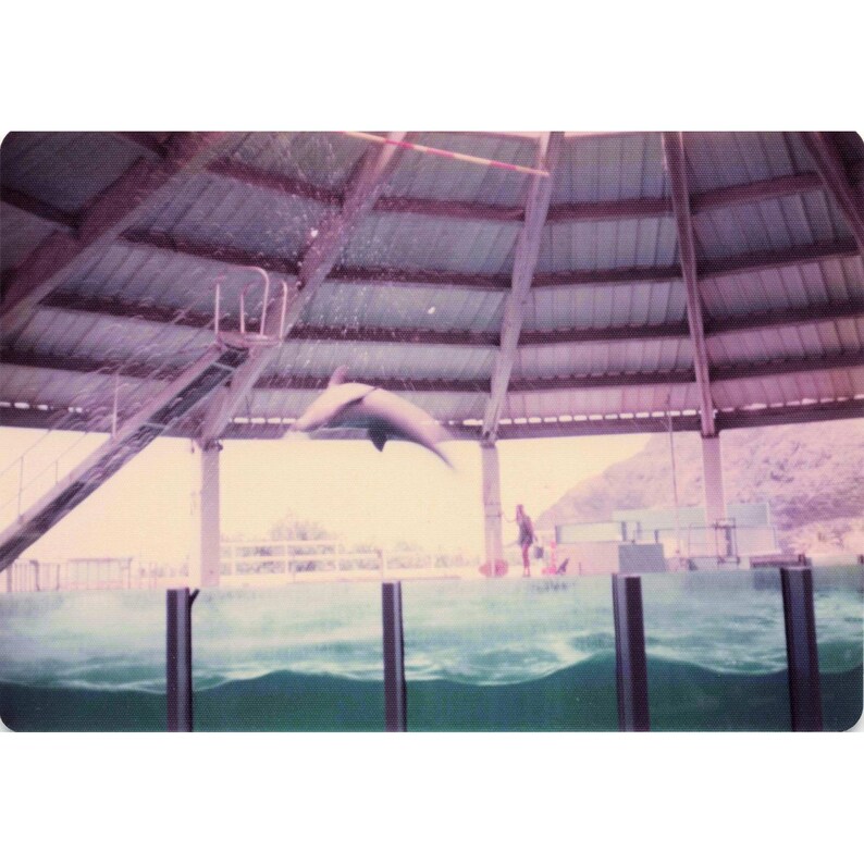 Vintage 1970s Sea Life Park Hawaii Dolphin Show Tall Ship Photo Lot of 17 image 7