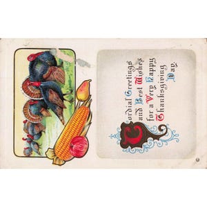 Antique Thanksgiving Postcard Turkeys Corn Fruit Series 253 B Divided Back G image 1