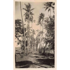 Set of 3 Vintage Seabees Sailor Photos Manus Island WWII image 2