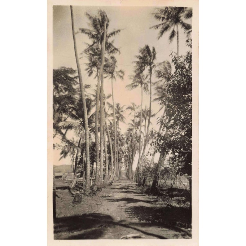 Set of 3 Vintage Seabees Sailor Photos Manus Island WWII image 2