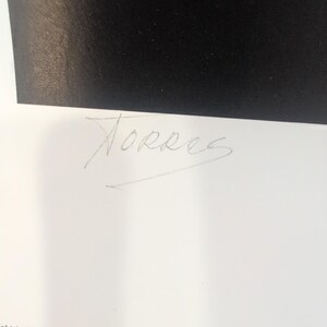 Sonia Torres Limited Edition, Numbered, Signed Arabian Left Horse Artist's Print image 7