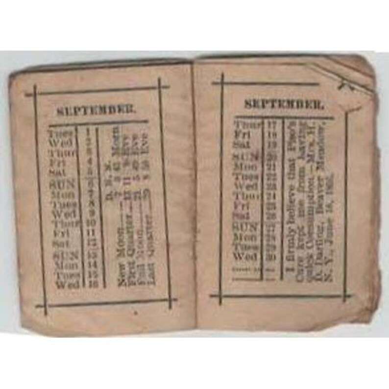 Hazeltine's Pocket Book Almanac 1896 Piso Co Antique Advertising Quack Medicine image 4