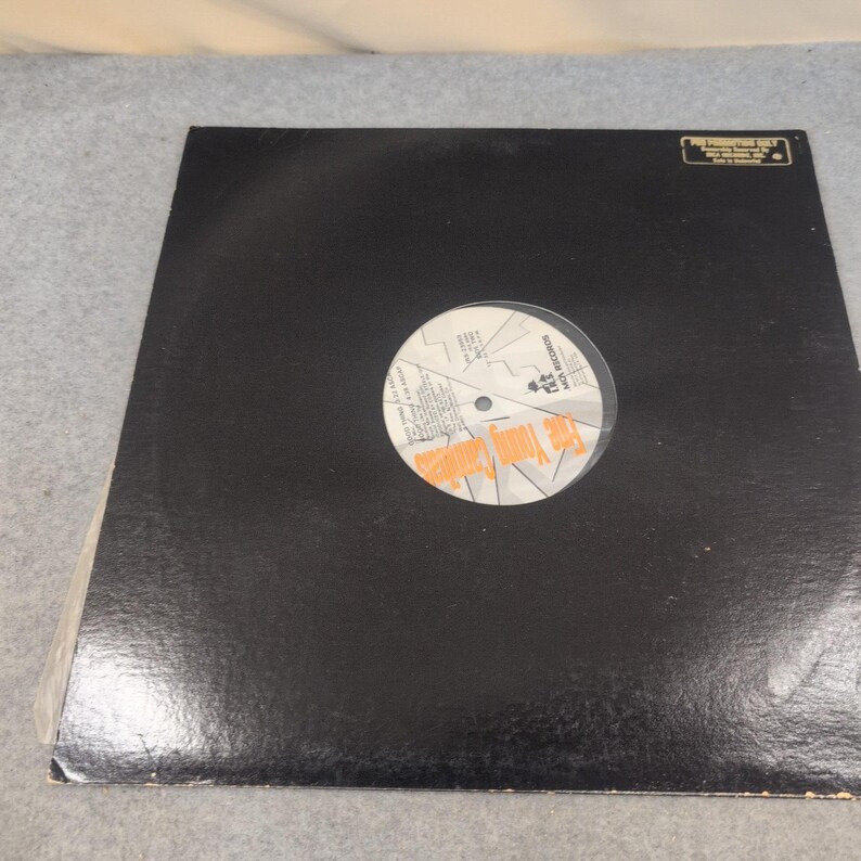 Fine Young Cannibals Good Thing 12 Vinyl Prince Paul Remix Promo IRS-23959 1989 image 3