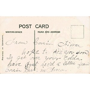 Vintage-Postkarte mit geprägter Rose, East Homer, New York, Deutschland, bedrucktes Blumengedicht Bild 2