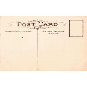 Cartolina di auguri pasquali vintage con pulcini gialli, farfalla e uovo 800-11, non spedita. immagine 2