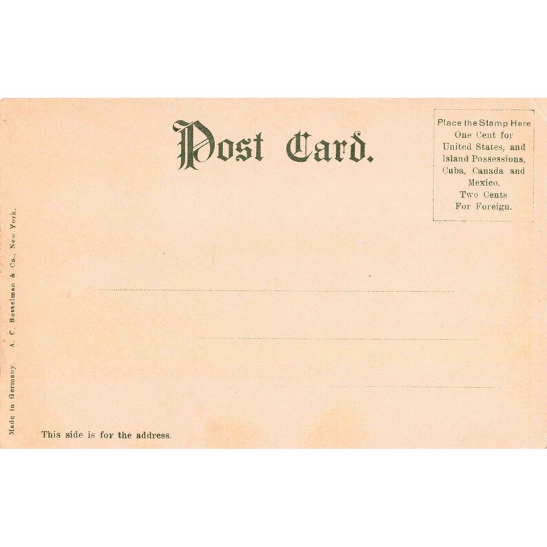 Vintage Lake Mendota Shore Madison WI Postcard Divided Back Bosselman 1612 image 2
