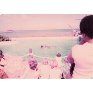 Vintage 1970s Sea Life Park Hawaii Dolphin Show Tall Ship Photo Lot of 17 image 9