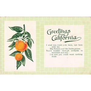 Vtg Greetings From California Oversized Postcard Wood's Oranges S-88 VG image 1