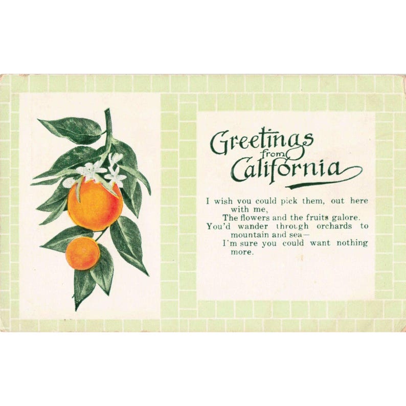 Vtg Greetings From California Oversized Postcard Wood's Oranges S-88 VG image 1
