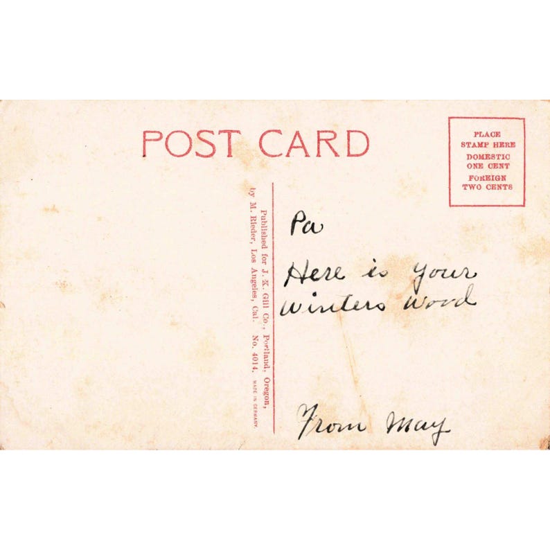 Vintage Oregon Big Stick Logging Postcard J.K. Gill Co M. Rieder Germany No 4014 image 2