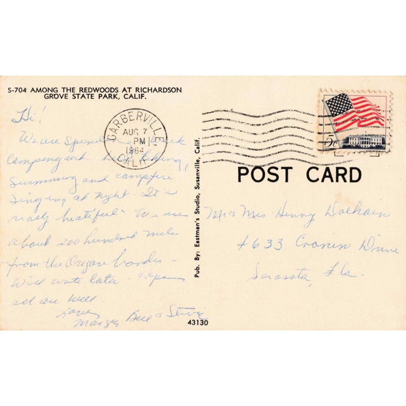 Vintage Richardson Grove State Park California Redwood Forest Postcard 1964 VG image 2