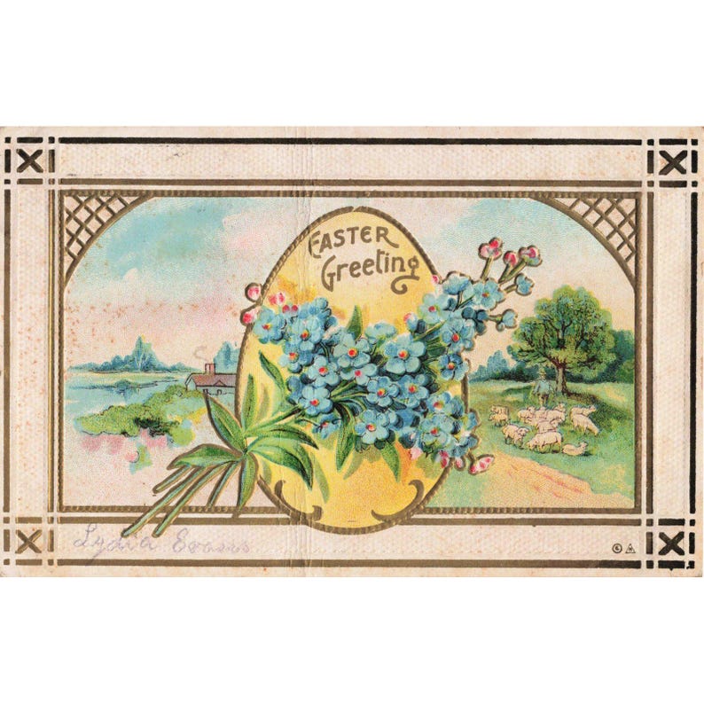 Carte postale ancienne de Pâques de 1911, en relief, avec des myosotis et des moutons, scène pastorale, très bon état. image 1