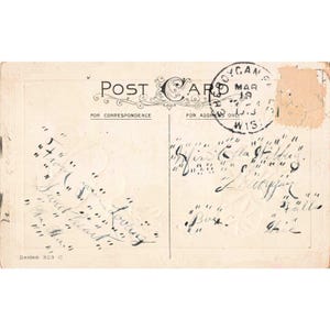 Vintage Osterpostkarte von 1909, geprägtes Motiv: Küken und Veilchen, Sheboygan Falls, Wisconsin, 303 Bild 2