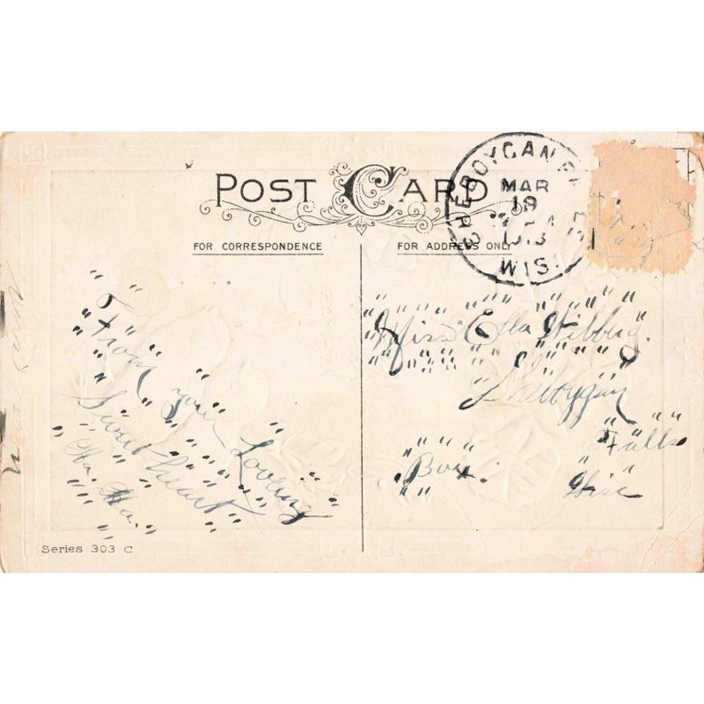 Vintage Osterpostkarte von 1909, geprägtes Motiv: Küken und Veilchen, Sheboygan Falls, Wisconsin, 303 Bild 2