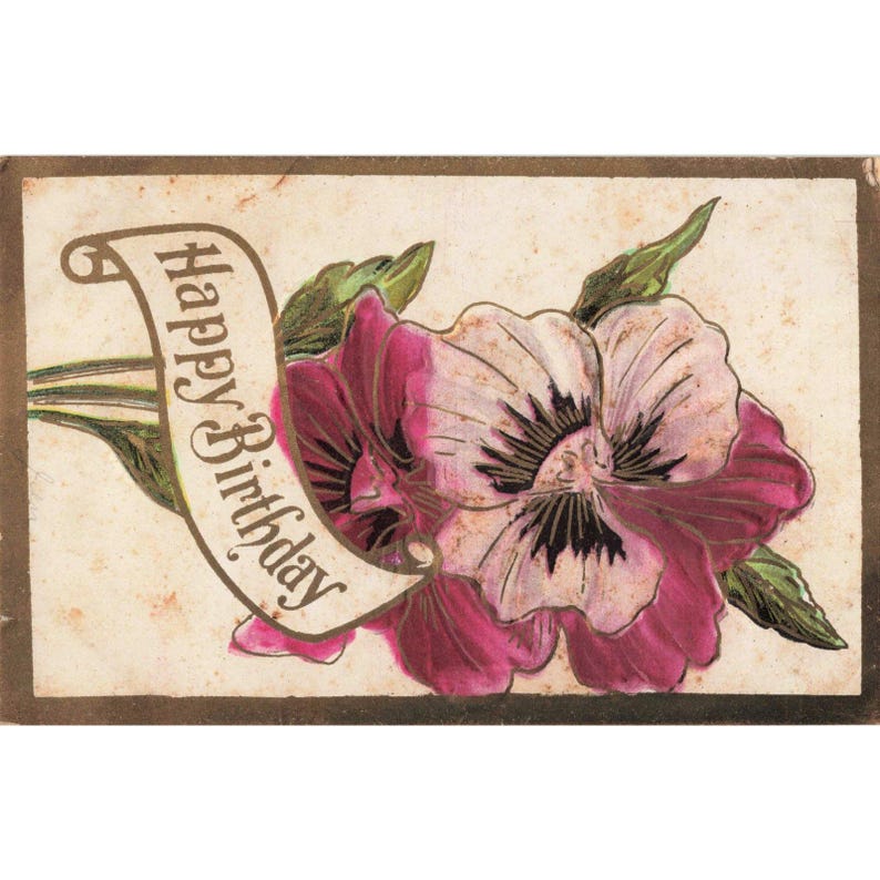 Vintage Happy Birthday Postcard Embossed Pink Pansy Flowers Divided Back Antique image 1