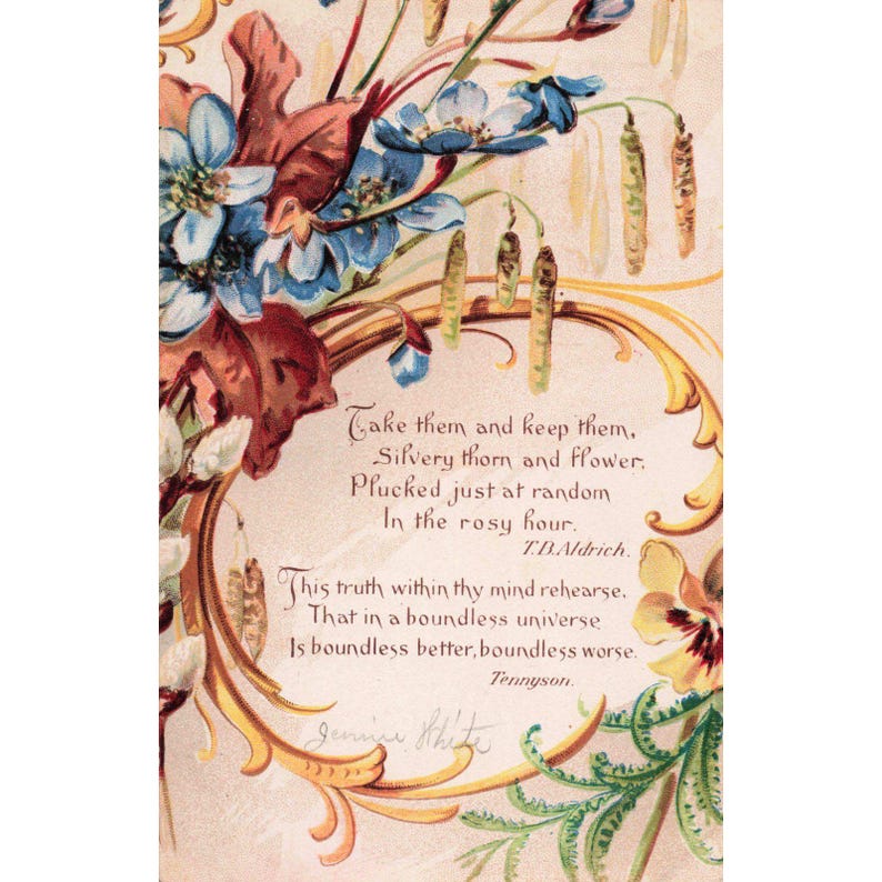 Vintage 1908 Floral Poetry Postcard T.B. Aldrich Tennyson Carbondale Postmark image 1
