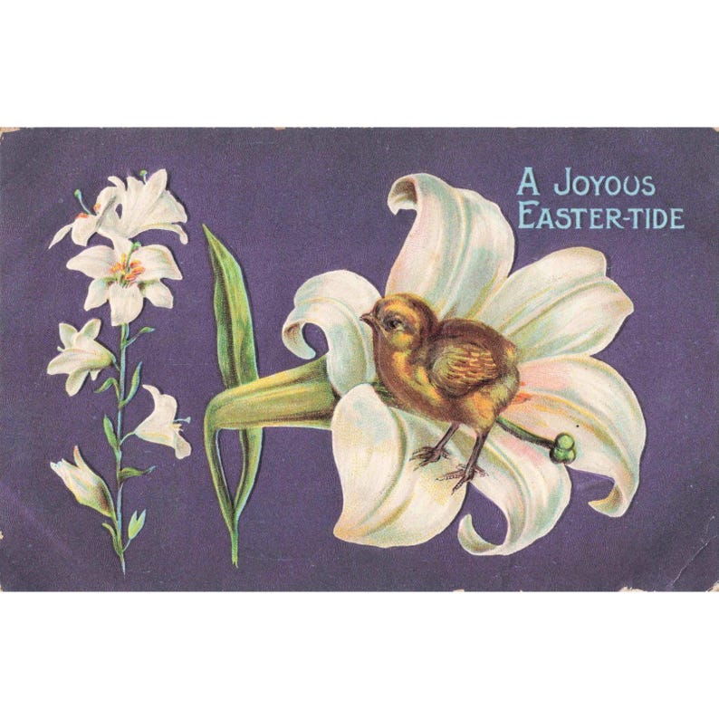 Vintage Embossed Easter Postcard Bird White Lily Joyous Easter-Tide Purple VG- image 1
