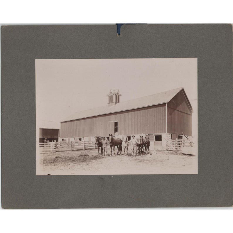 Antique 1904 James McDowell Barn Photo Sepia Horse Farm Architecture 7x5 Mount image 1
