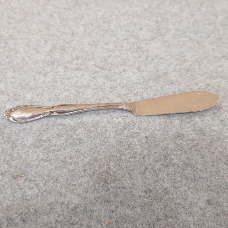 Oneida Stainless Steel Flat Handle Butter Spreader Scroll Pattern Flatware image 1