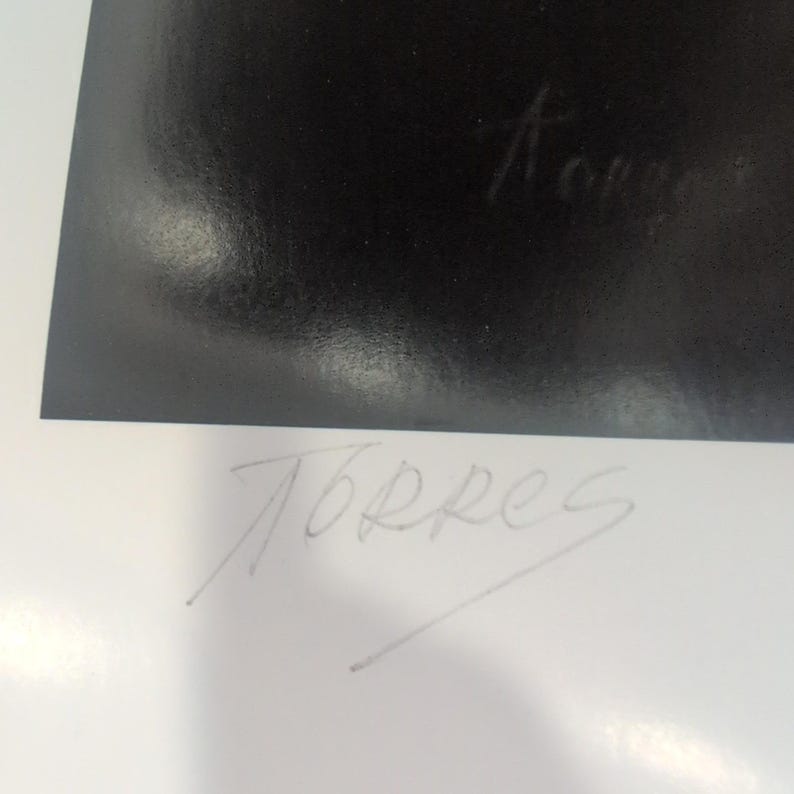 Sonia Torres Arabian Right Horse Artist's Print Torres Signed Numbered Limit Ed image 6