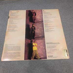 The Newtrons Selbstbetiteltes Vinyl LP Album 1990 MCA-6381 New Jack Swing Promo VG + Bild 3