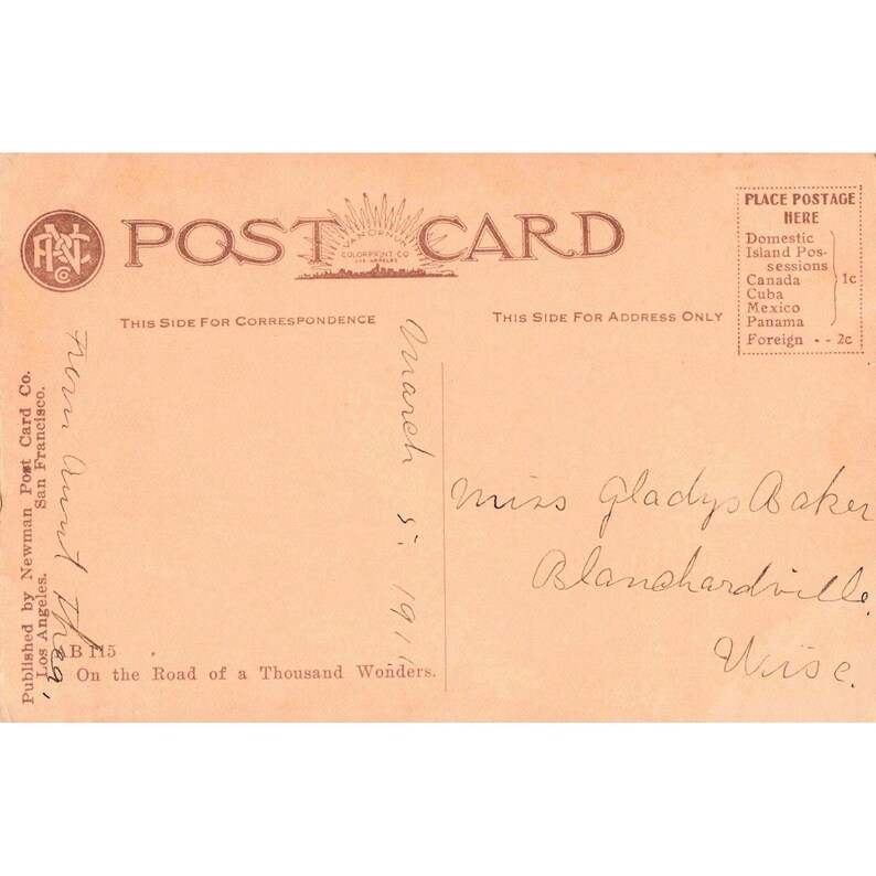 Vintage Postkarte „Rosen rundherum“ von 1911, Newman Post Card Co., B115, sehr guter Zustand Bild 2