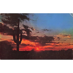 Arizona Desert Sunset Saguaro Cactus Chrome Postcard 1950 Color-Krome C664 Used image 1