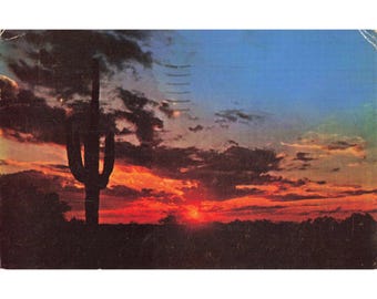 Arizona Desert Sunset Saguaro Cactus Chrome Postcard 1950 Color-Krome C664 Used