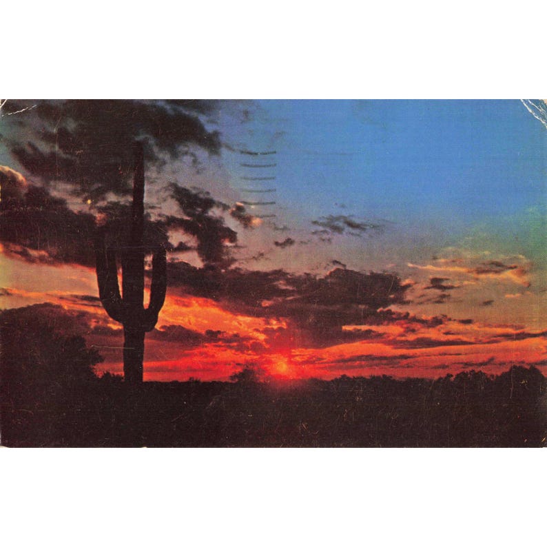 Arizona Desert Sunset Saguaro Cactus Chrome Postcard 1950 Color-Krome C664 Used image 1