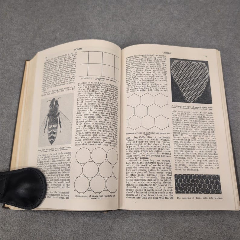 ABC and XYZ of Bee Culture A.I. Root 1947 Edition Hardcover Beekeeping Book image 9