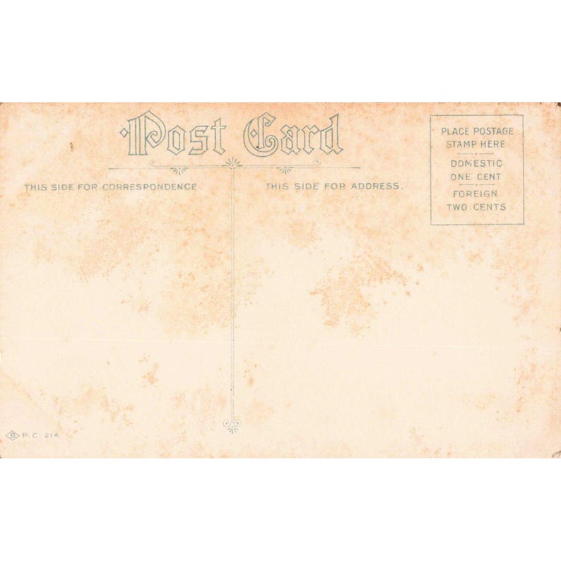 Antique Embossed Ivy Friendship Postcard True Friends Poem Divided Back VG image 2