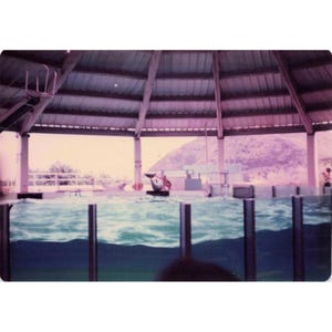 Vintage 1970s Sea Life Park Hawaii Dolphin Show Tall Ship Photo Lot of 17 image 6