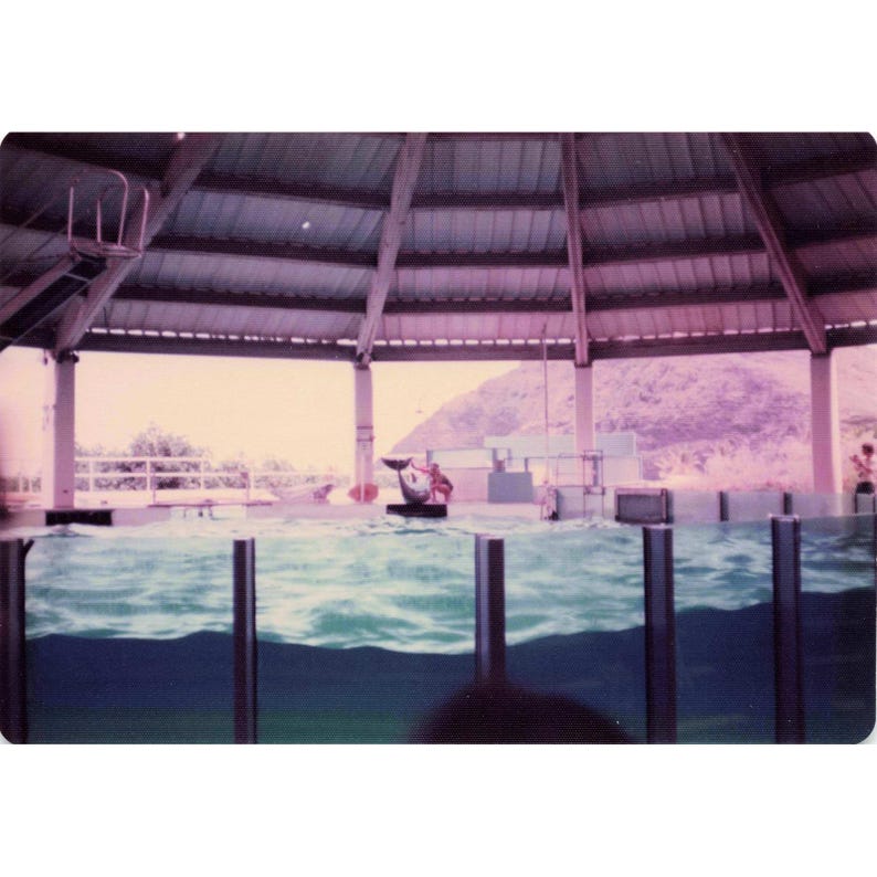 Vintage 1970s Sea Life Park Hawaii Dolphin Show Tall Ship Photo Lot of 17 image 6