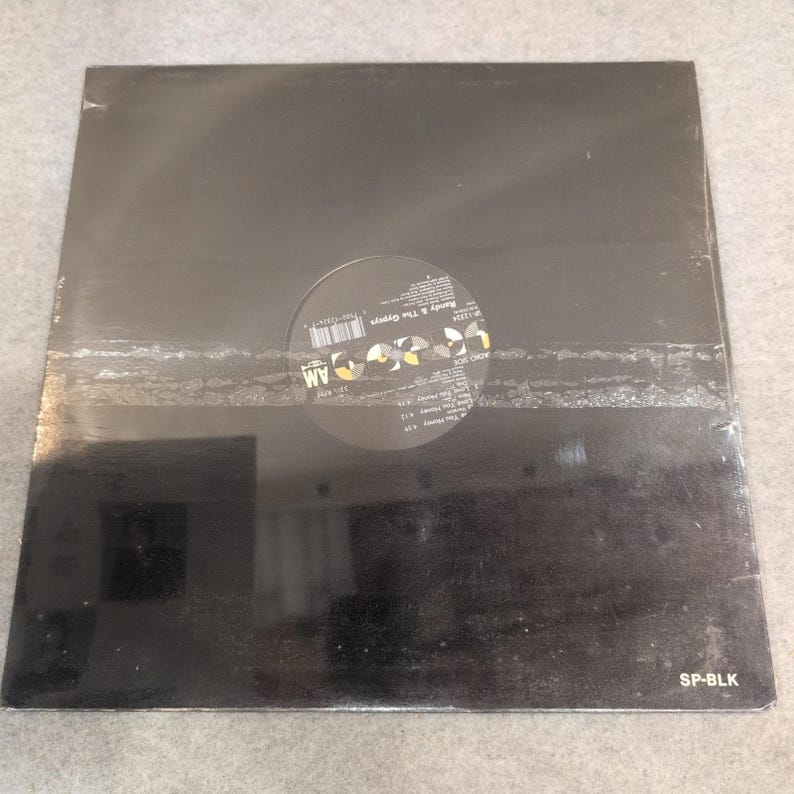 Randy & The Gypsys Love You Honey 12" Vinyl Single Randy Jackson AM SP-12324 89 image 3