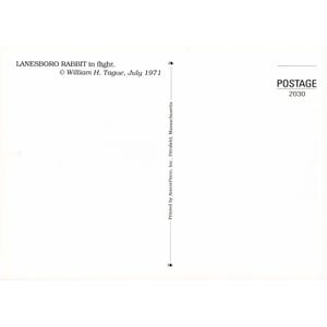 William H Tague, juego de 15 postales, Berkshires, Tanglewood, Leonard Bernstein, Naturaleza imagen 4