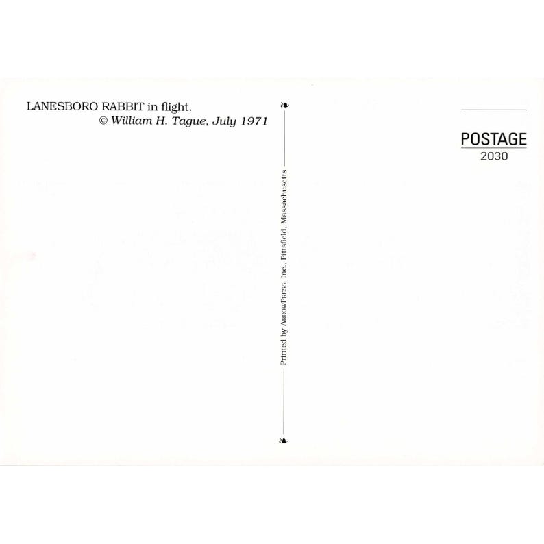 William H Tague, juego de 15 postales, Berkshires, Tanglewood, Leonard Bernstein, Naturaleza imagen 4