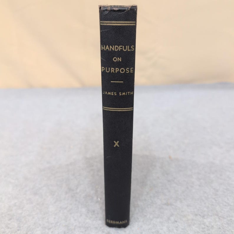 Handvoll der Zweck Serie X James Smith Eerdmans Hardcover Religiöses Buch Bild 1
