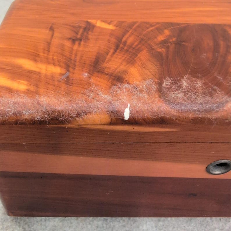 Vintage Lane Cedar Chest Miniature Salesman Sample George Cater Furniture Box image 2