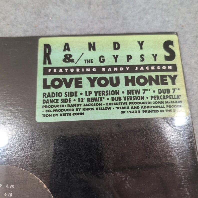 Randy & The Gypsys Love You Honey 12" Vinyl Single Randy Jackson AM SP-12324 89 image 2