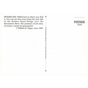 William H Tague, juego de 15 postales, Berkshires, Tanglewood, Leonard Bernstein, Naturaleza imagen 6