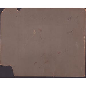 Antique Photo Lot Fannin County Texas Family Ladonia Bonham Studio c1900-1915 image 8