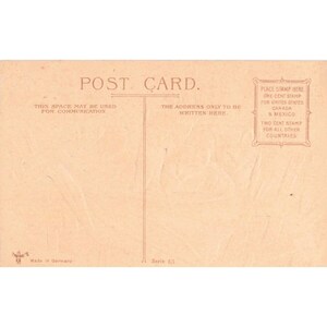 Antike Postkarte „Große Aussicht: Kätzchen im Korb“, hergestellt in Deutschland, Serie 6/1, sehr guter Zustand Bild 2