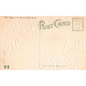 Vintage Best Birthday Wishes Postcard Embossed Snowdrops Horseshoe Germany VG image 2