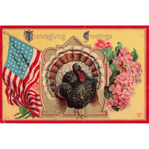 Vintage P. Sander Thanksgiving Greetings Postcard Turkey American Flag Embossed image 1
