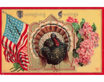 Vintage P. Sander Thanksgiving Greetings Postcard Turkey American Flag Embossed